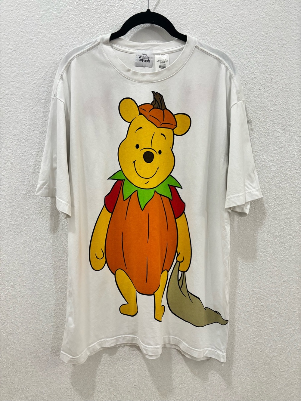 Disney Parks Winnie The Pooh and Tigger Pumpkin Costume T-shirt Size Large